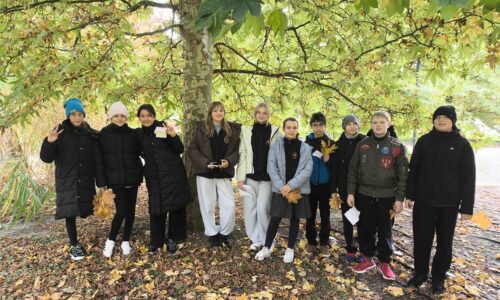 Polonistyczne przygody