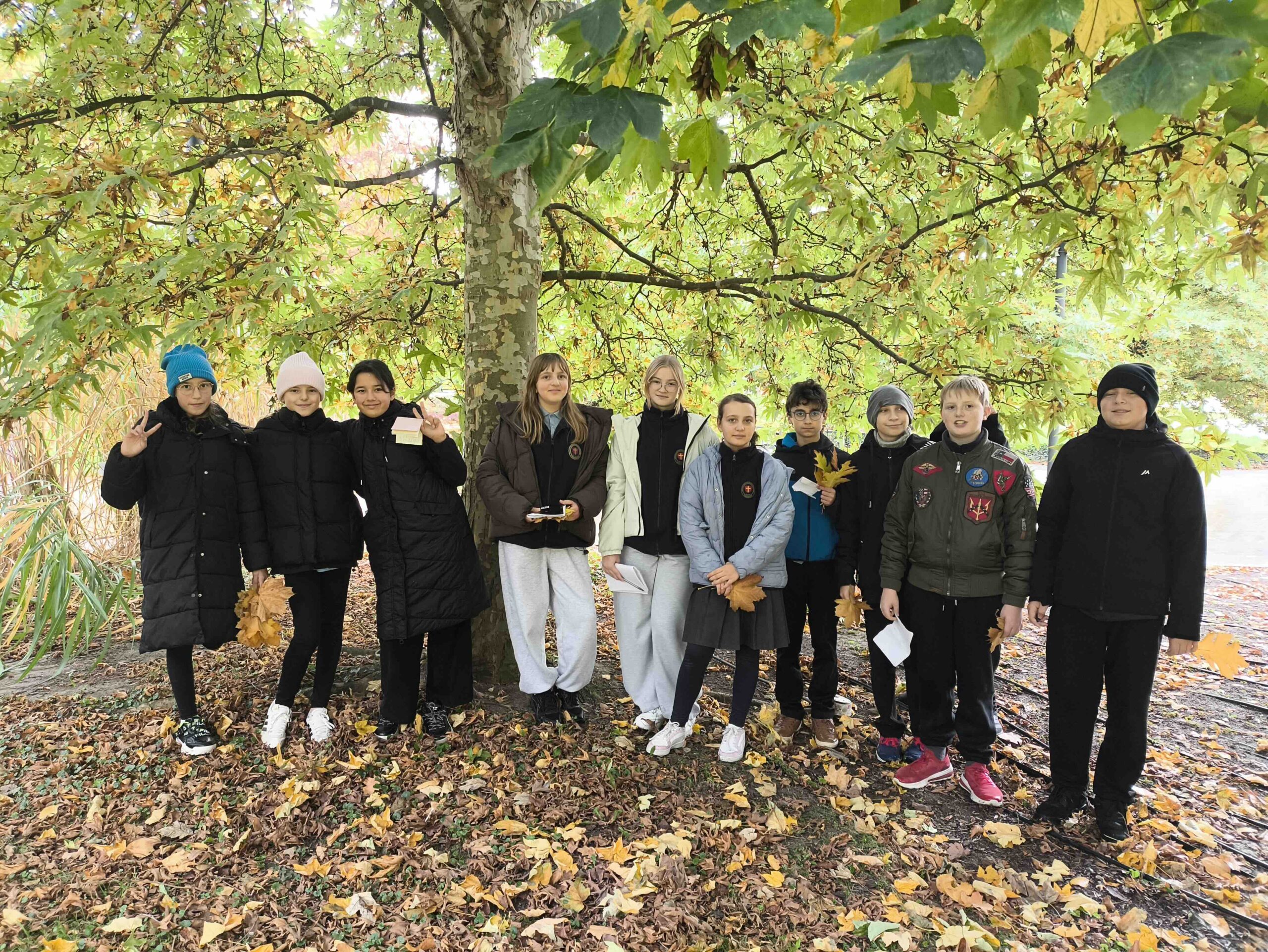 You are currently viewing Polonistyczne przygody