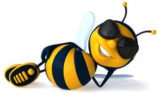 Pszczoła musi być