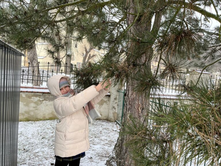 Read more about the article Dokarmiamy ptaki