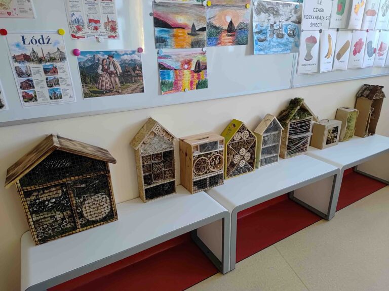Read more about the article Domek dla owadów zapylających – wyniki konkursu