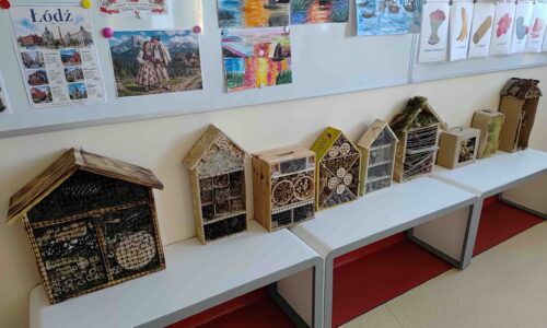 Domek dla owadów zapylających – wyniki konkursu