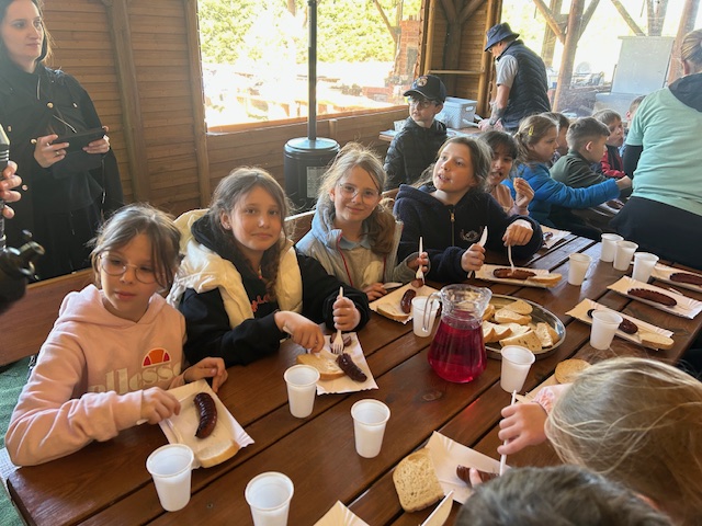 Read more about the article Świerkowe zacisze