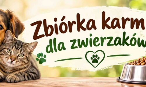 Zbiórki karmy dla zwierzaków